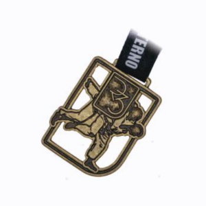 Medalha de Luta LT013